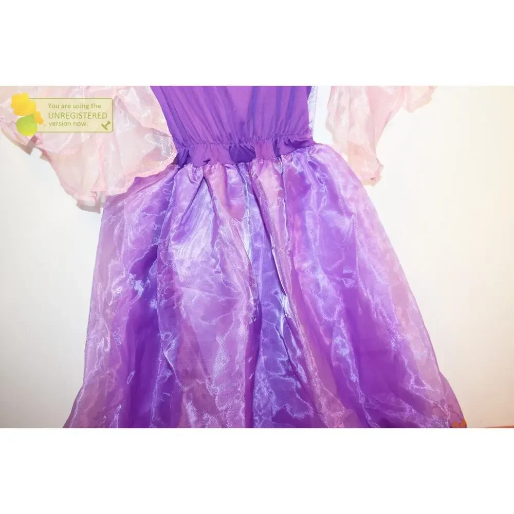 Jakks Disney Princess Rapunzel Girls Costumer Dress 4-6x